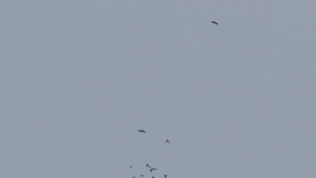 13 февраля 2024 г. смотреть онлайн