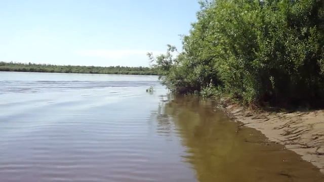 Лодка Golfstream 330 + Mercury 15