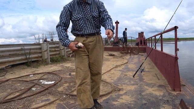 ЗДОРОВЕННЫЙ ЯЗЬ НА УДОЧКУ, РЫБАЛКА НА ДОНКУ смотреть онлайн