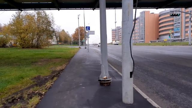 Москва 3207 2-я улица Измайловского Зверинца, Круглый пруд в Измайловском парке осень день