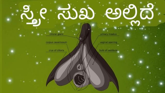 ಸ್ತ್ರೀ ಸುಖ ಎಲ್ಲಿದೆ - 1 | part - 1 смотреть онлайн