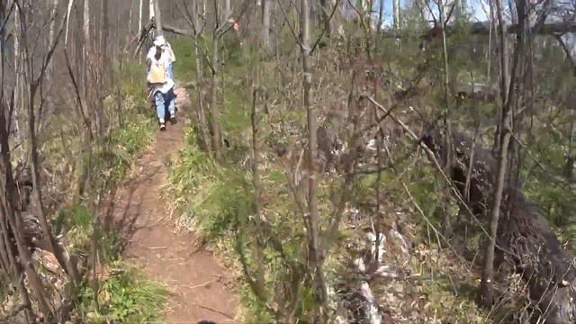 50 оттенков розового или почему Розовые скалы розовые? смотреть онлайн