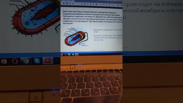 Сложные вопросы ЕГЭ биология части 2