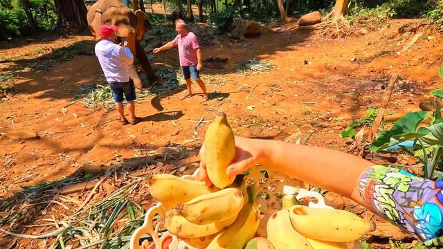 Приключение Марка А4 на водопаде в Тайланде | Слоны и слоники на Тайской ферме