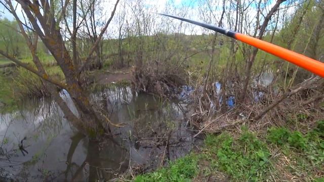 ЗВЕРЮГИ на БОКОВОЙ КИВОК по МИКРОРЕЧКЕ в КОРЯЖНИКЕ! Открыл для себя НОВУЮ КАЙФОВУЮ РЫБАЛКУ! смотреть онлайн