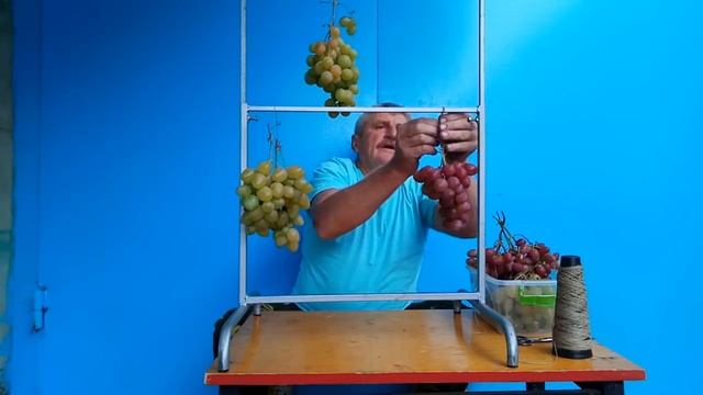Виноград хорошо продаётся если... смотреть онлайн