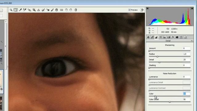 Adobe Photoshop CS5 Extended Advanced Ch 8 ADVANCED RAW FILE EDITING Adding Grain & Reducing Nois смотреть онлайн