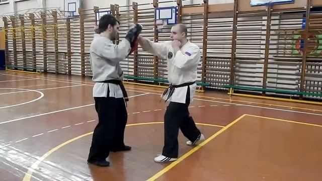 ,,ДоМо контакт каратэ,, работа на лапах, БЛОК - ДВА УДАРА . смотреть онлайн