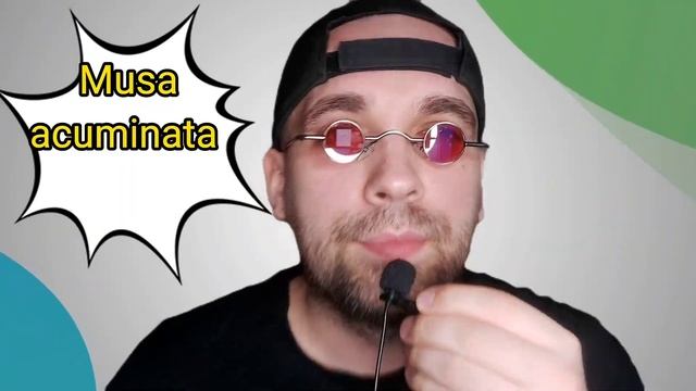 Фрукты и овощи в древности‼️??? #удивительныеистории #удивительныефакты #факты #наука смотреть онлайн