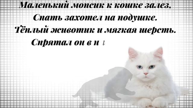 Маленький мопсик смотреть онлайн