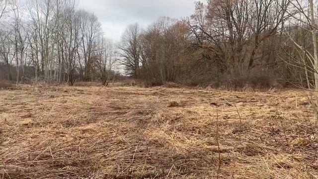 КОП ПО ВОЙНЕ 2023! ДЕД ХАБАР РАЗДАЕТ ПОДАРКИ! WW2 METAL DETECTING смотреть онлайн