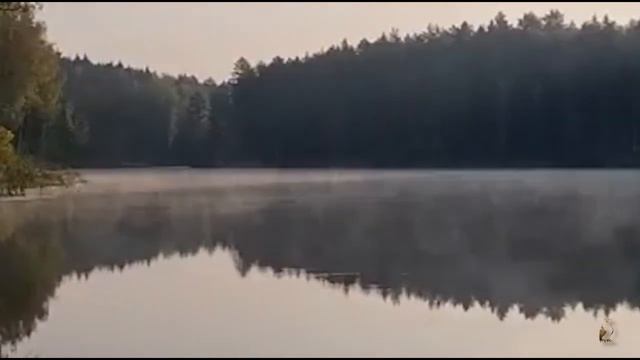 Не рассуждай Ф И Тютчев смотреть онлайн