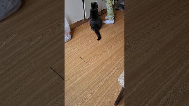 Мои думки. Хочу услышать ваше мнение. смотреть онлайн