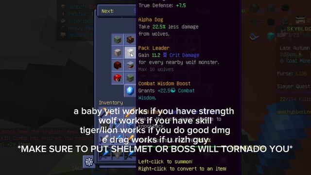 T5 Rev Horror Guide (Skill-Issue Friendly) I Hypixel Skyblock смотреть онлайн