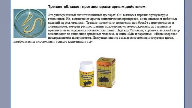 Трепанг при хронических заболеваниях. Отзывы и результаты.