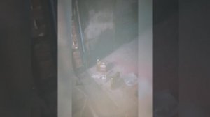 Обслуживание Suzuki Solio MA36.Замена масла в вариаторе , замена фильтра тонкой очистки под колесом