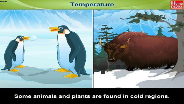 Environment & Ecosystems | Part 1 | Abiotic and Biotic Components | Home Revise смотреть онлайн
