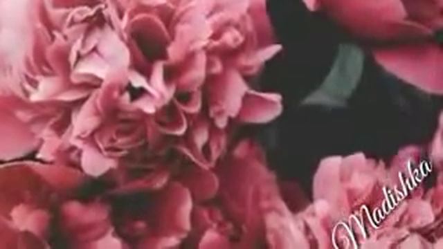 Румиса Никаева смотреть онлайн