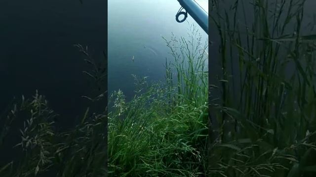 рыбалка утром смотреть онлайн