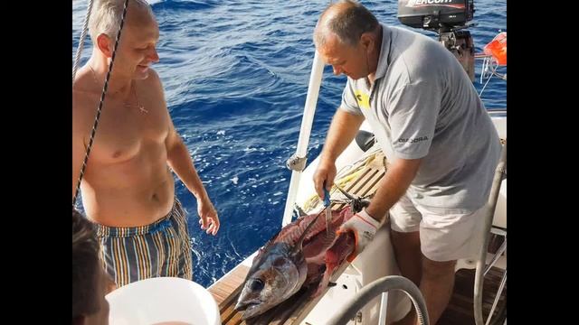 PARUS-M regatta (russian version, montenegrin music) смотреть онлайн