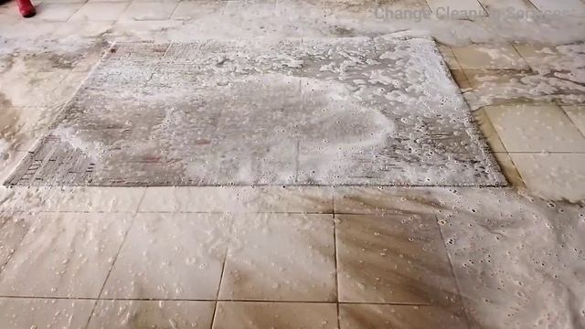 The Dirtiest Carpet Cleaning / Satisfying Rug Cleaning ASMR