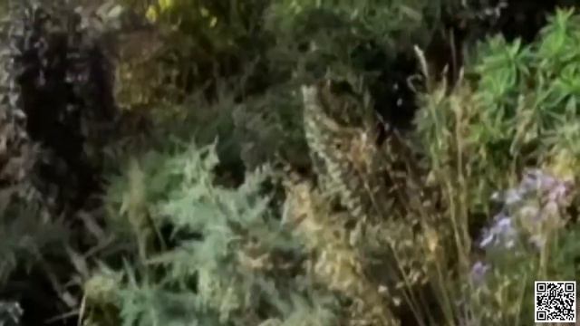 Gardeners World 2022 NEW Episode ☘️🌹 S55E01☘️🌹 Jul 29, 2022