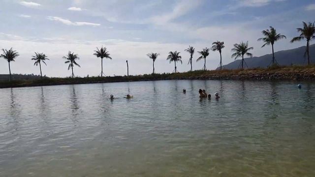 Вьетнам Нячанг Ан Вьен пляж Парагон 2019 Viet Nam Nha Trang An Vien смотреть онлайн