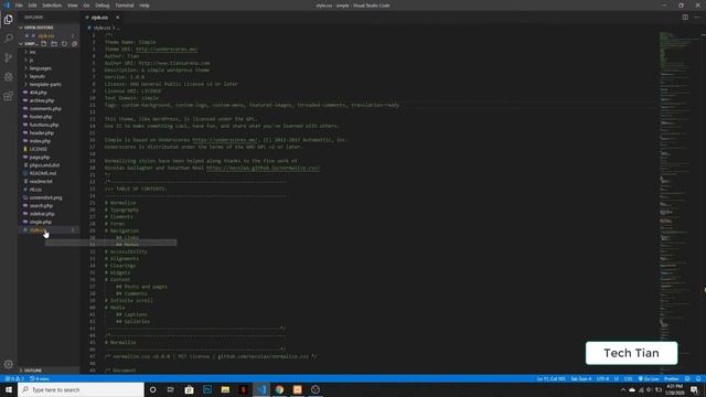 Analyzing A Boilerplate WordPress Theme | WordPress Theme Development Part 57 | Tech Tian смотреть онлайн