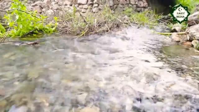 Астагфуруллохаллазий ла илаха илла хувал хаййул коййум ва атубу илайх ?