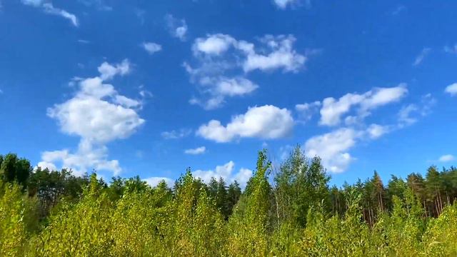 Домашний влог. Поездка Киев-Харьков. 1 сентября 48 школа. Жихорь. Возвращение в Катар смотреть онлайн