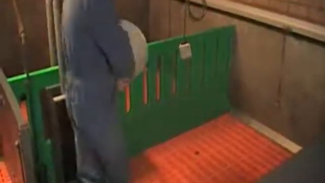 Dimilin 4% madendood granulaat varkens смотреть онлайн