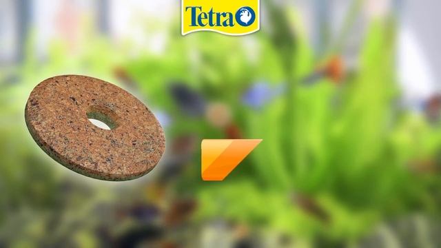 NEW! Tetra FunTips смотреть онлайн