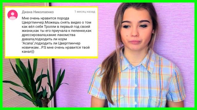 ЦВЕРГПИНЧЕР В ПЕРВЫЙ ГОД СВОЕЙ ЖИЗНИ смотреть онлайн