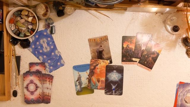PICK A CARD The Universe Has REPLY! ORACLE/TAROT READING TIMELESS смотреть онлайн