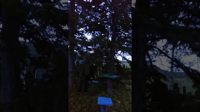 Песни из к/ф, Иван Бровкин,на баяне. Вечер,Сибирь. смотреть онлайн