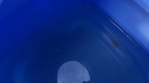 Дача. Умывальник. Организация подачи воды