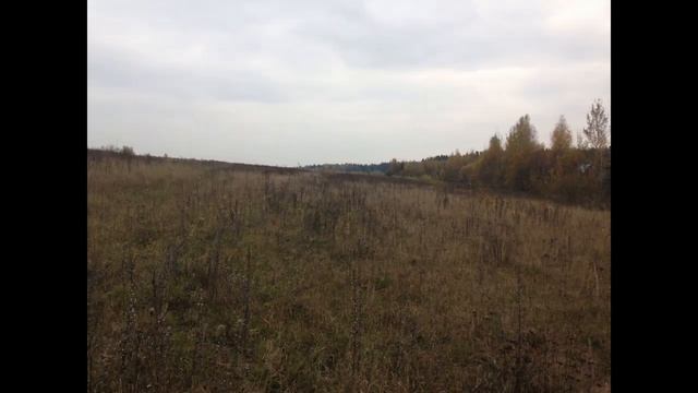 Участок по Ленинградскому ш., д. Веревское смотреть онлайн