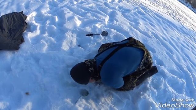 Река ишим крупная щука смотреть онлайн