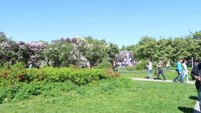 ВЛОГ ДЕНИС КОСЯКОВ СИРЕНЕВЫЙ САД ПРОБЛЕМА С ПАРКОВКАМИ смотреть онлайн