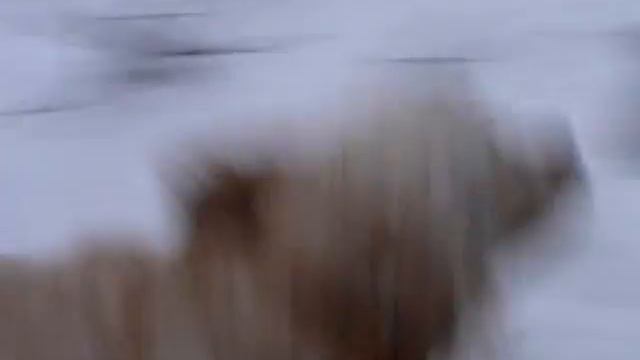 1 января 2011 год xvid смотреть онлайн