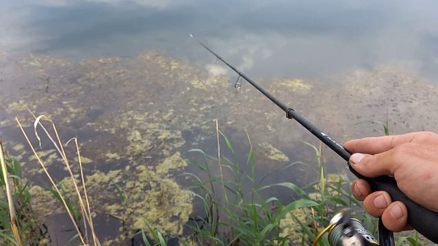 Самая Уловистая Снасть на Окуня. Ловля Окуня Отводным Поводком. Рыбалка на окуня весной. смотреть онлайн