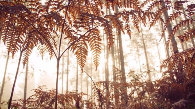 4 seasons in Salo Finland смотреть онлайн