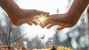 Доброта Асадов Эдуард стих