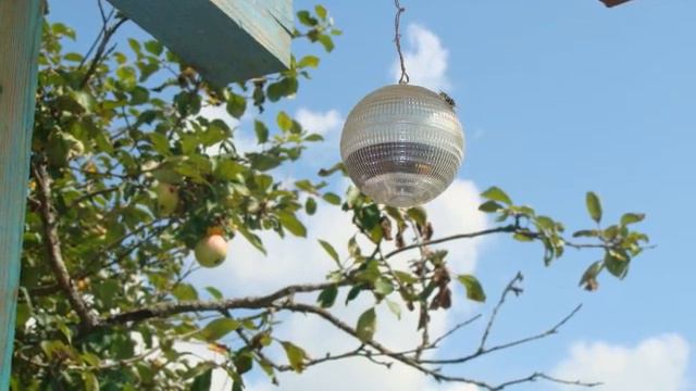 Ляпино смотреть онлайн