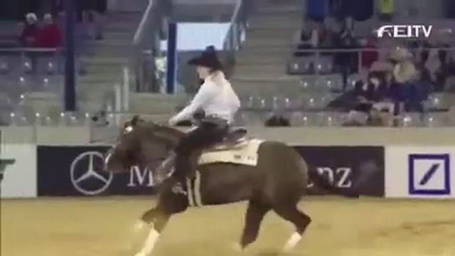 Конный Спорт||Вестерн|Equestrian Sport| смотреть онлайн