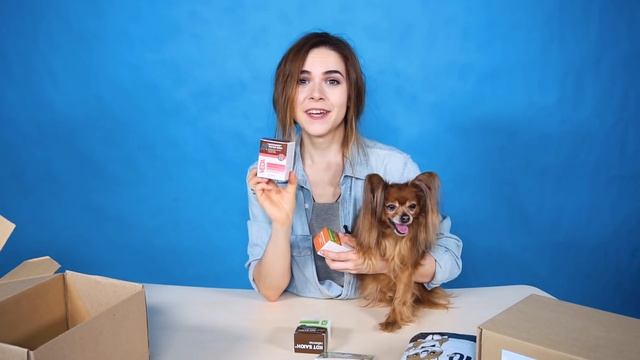 ОБЗОР PETSHOP BOX 