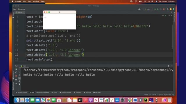 Python GUI [Soft & Sweet] - Part 10 (Text) смотреть онлайн