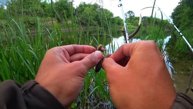 ПОПАЛСЯ МУТАНТ! НОЧЕВКА ДИКАРЁМ! ДОНКИ ПАЛАТКА И АКТИВНЫЙ КЛЁВ РЫБЫ! Рыбалка на сома 2023. смотреть онлайн