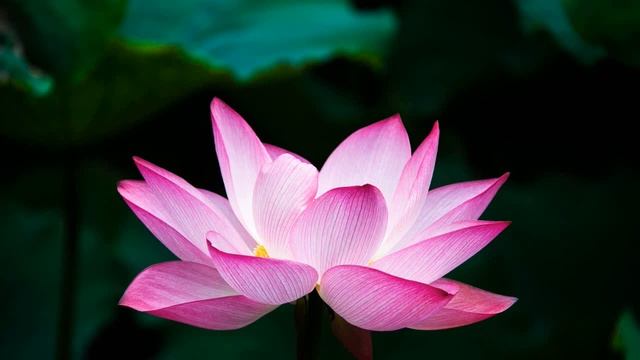 ? Музыка для утренней медитации (музыка для души) смотреть онлайн