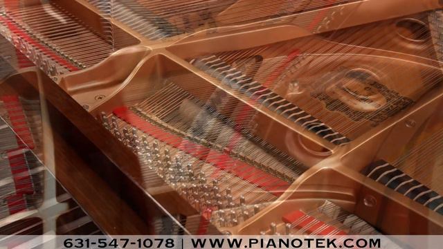 Yamaha GB1 2318107 смотреть онлайн